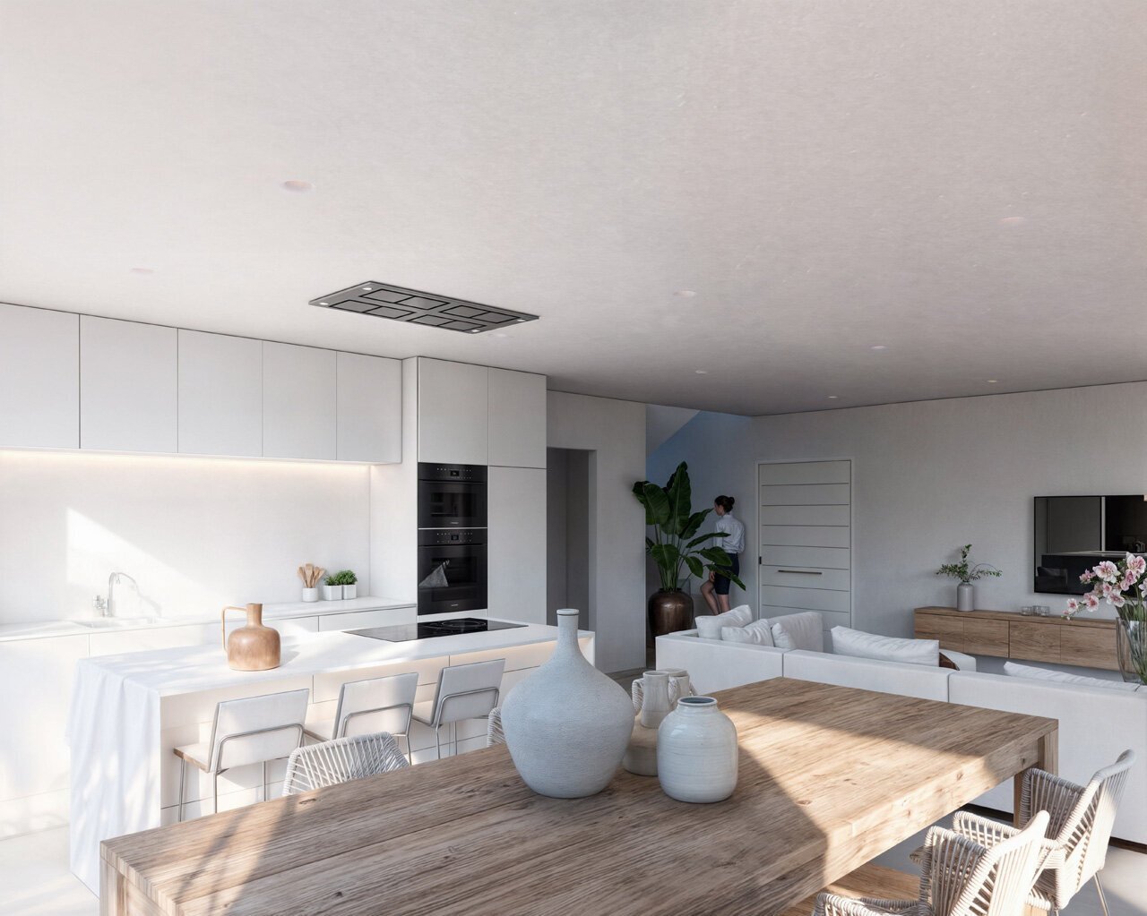 VISTA SALON 4 PEDRERA final_LOW.jpg