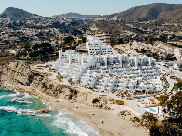 Dormio Project groot.png