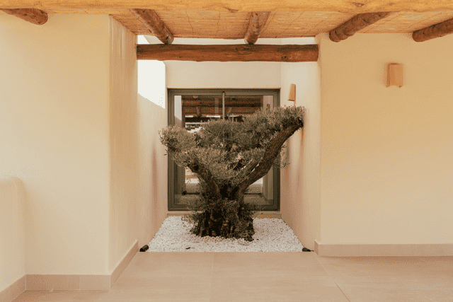 DSC07222 normaal.png