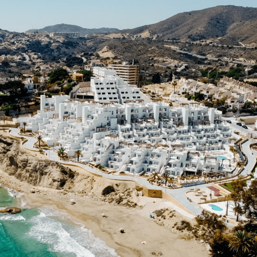 Dormio Project groot.png