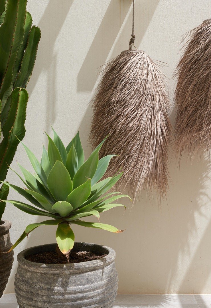 Casa Catharina 101.JPG