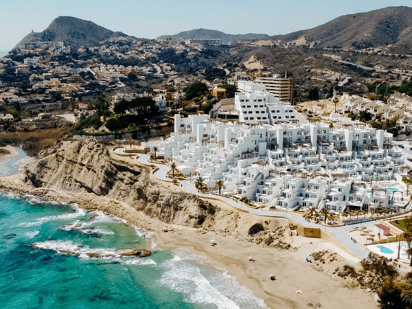 Dormio Project groot.png