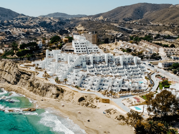 Dormio Project groot.png